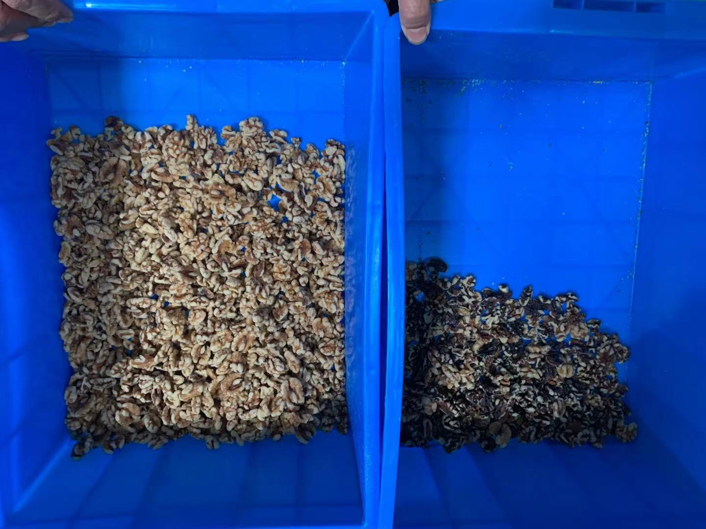 1620178567716177.jpg 1620178567716177.jpg