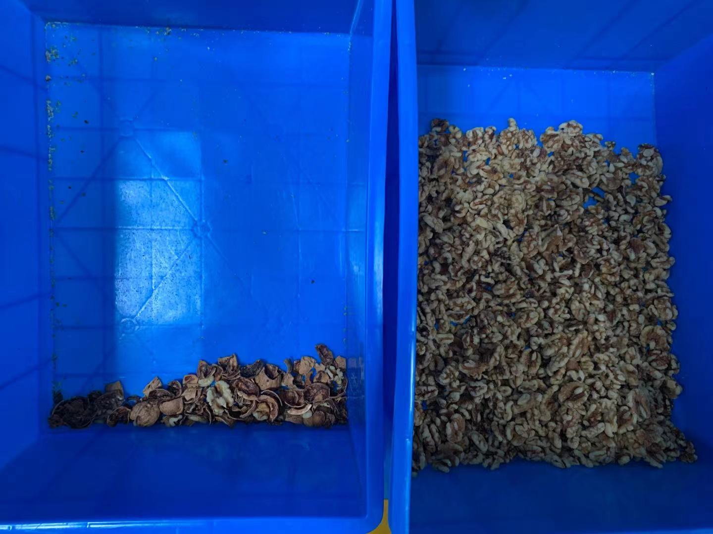 1620178680162186.jpg 1620178680162186.jpg